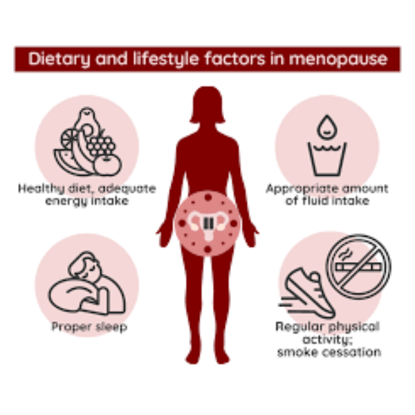 menopausal transition management diet